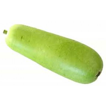 BOTTLE GOURD (India)